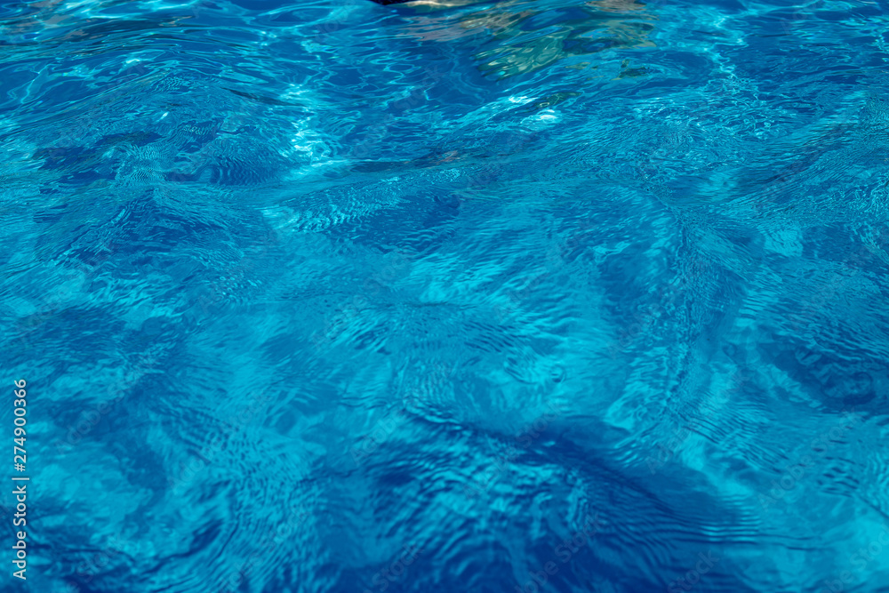 Wall mural swimming in blue water