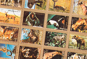 UNITED ARAB EMIRATES - CIRCA 1980: Stamps printed in the UAE showing animals, circa 1980
