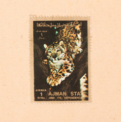 UNITED ARAB EMIRATES - CIRCA 1980: A stamp printed in the UAE shows a cat in a tree, circa 1980