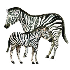 Wild animal pattern with savanna, zoo, mother and baby. watercolor. African animals for children's textiles and design. Children's bright summer collection of backgrounds with animals. stock graphics