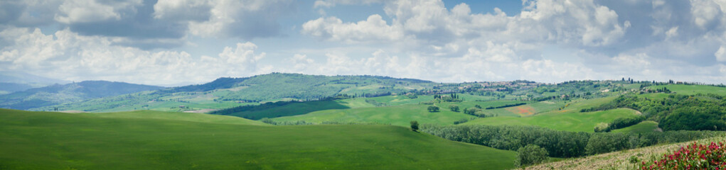 Fototapeta na wymiar Panorama of Tuscan field near Siena in summer