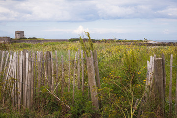 fence in the field - irish landscape