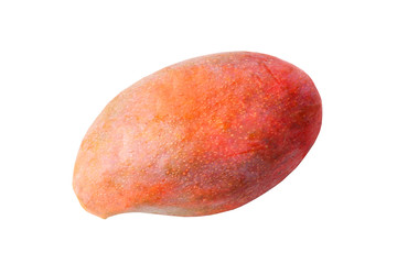 Isolated of popular fruit ,Ripe night red Palmer Mango