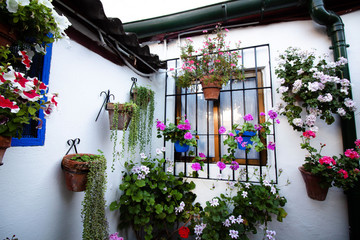 Fototapeta na wymiar Flower decoration of patios in Cordoba, Andalusia, Spain - Patio Fest