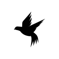 Bird wing Dove Logo Template vector illustration