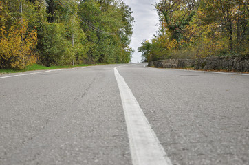 Fototapeta premium White dividing strip on the asphalt road in the autumn forest