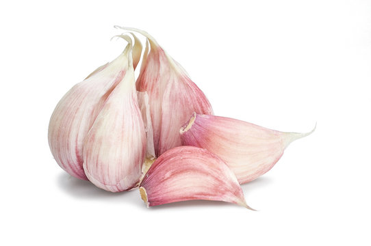 organic garlic isolated on white background