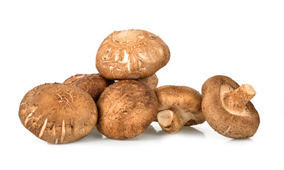 Shiitake Mushrooms on white background