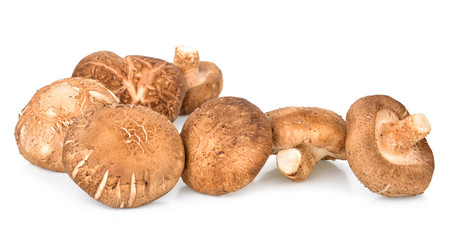 Shiitake Mushrooms on white background