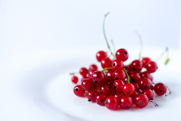 red berries on white background