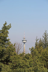 Fototapeta premium Sendeturm im Pfälzer Wald