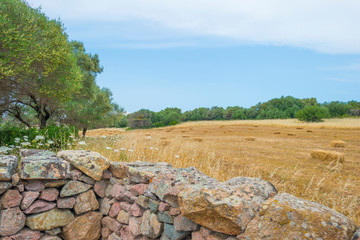 Scenic landscape of green hills and rocky mountains of the island of Sardinia in spring