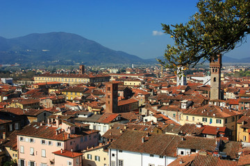 View over the roofs of houses in Lucca, Italy