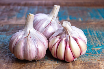 Three bulbs of fresh violet French garlic close up