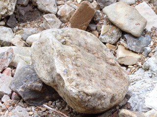 KODAK Digital Still Camera