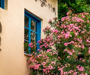 Fototapeta na wymiar Blue window on a Greek house