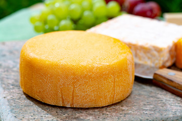 French cheeses collection, yellow Vieux Pane and Le peche des bons peres cheeses served on marble plate outdoor in green garden