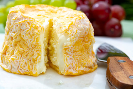 Langres, French cow milk soft cheese, creamy and crumbly with white rind