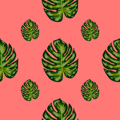 Tropical Pattern. Seamless Texture with Bright Hand Drawn Leaves of Monstera.