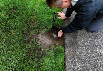 Sprinkler system being repaired by mature man with irrigation parts laying on ground - 274915317