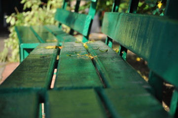 an old green wooden bench stands in the autumn park