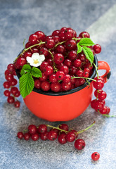 Red currants in mugs on grey table