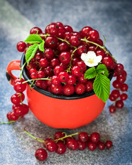 Red currants in mugs on grey table