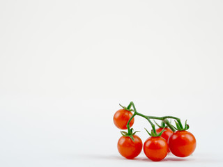 Fresh tomato on the clear white background
