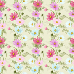 Colorful cosmos flowers seamless pattern.