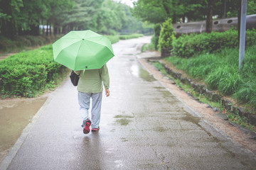 spring and raining season activity concept from backside of old woman walk and travel with hold her green umbrella with large park background