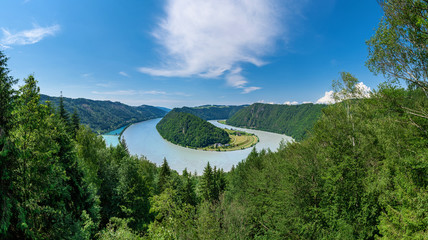 Panorama der Schlögener Schlinge