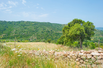 Scenic landscape of green hills and rocky mountains of the island of Sardinia in spring