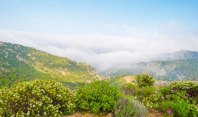 Scenic landscape of green hills and rocky mountains of the island of Sardinia in spring