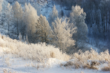 winter landscape with trees and snow