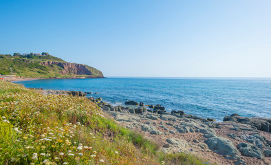 Obraz premium Rocky coast of the island of Sardinia in the Mediterranean Sea in sunlight in spring