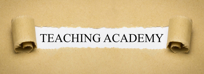 Teaching Academy