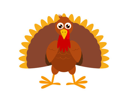 Vector Illustration of turkey bird cartoon character on white background