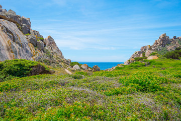 Rocky coast of the island of Sardinia in the Mediterranean Sea in sunlight in spring