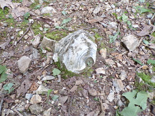 KODAK Digital Still Camera