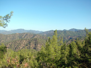 Panorama of low mountain ridges covered by green forest under the rays of autumn sunrise on the background of pure blue sky.