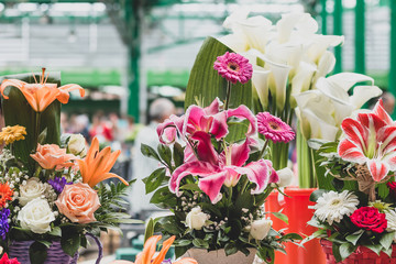 Various flower arrangements in small decorative pots on the marketplace counter in Belgrade. Close up.
