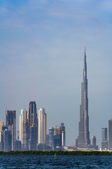 Fototapeta na wymiar Vertical image of Dubai at daytime