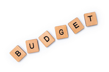 The word BUDGET