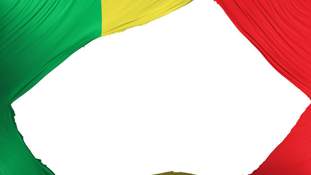 Divided Senegal flag, white background, 3d rendering