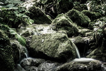 Creek waters running between rocks covered by moss photographed from the Kot waterfall trail. Concept of wilderness. Cividale del Friuli area, Udine province, Friuli Venezia Giulia region, Italy. © Marco