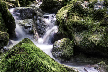 Creek waters running between rocks covered by moss photographed from the Kot waterfall trail. Concept of wilderness. Cividale del Friuli area, Udine province, Friuli Venezia Giulia region, Italy. © Marco