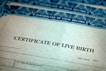 Birth Certificate Form Paper Official Baby Born
