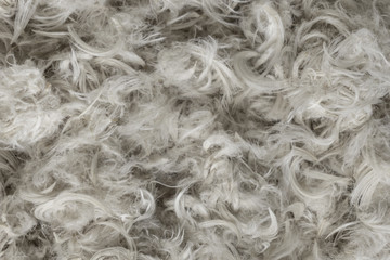 White goose feathers and fluff from pillows texture background