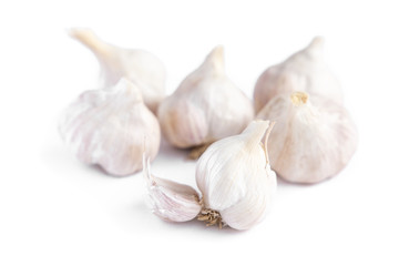 Garlic isolated on white background