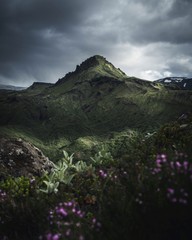 Fototapeta na wymiar Thorsmork Iceland